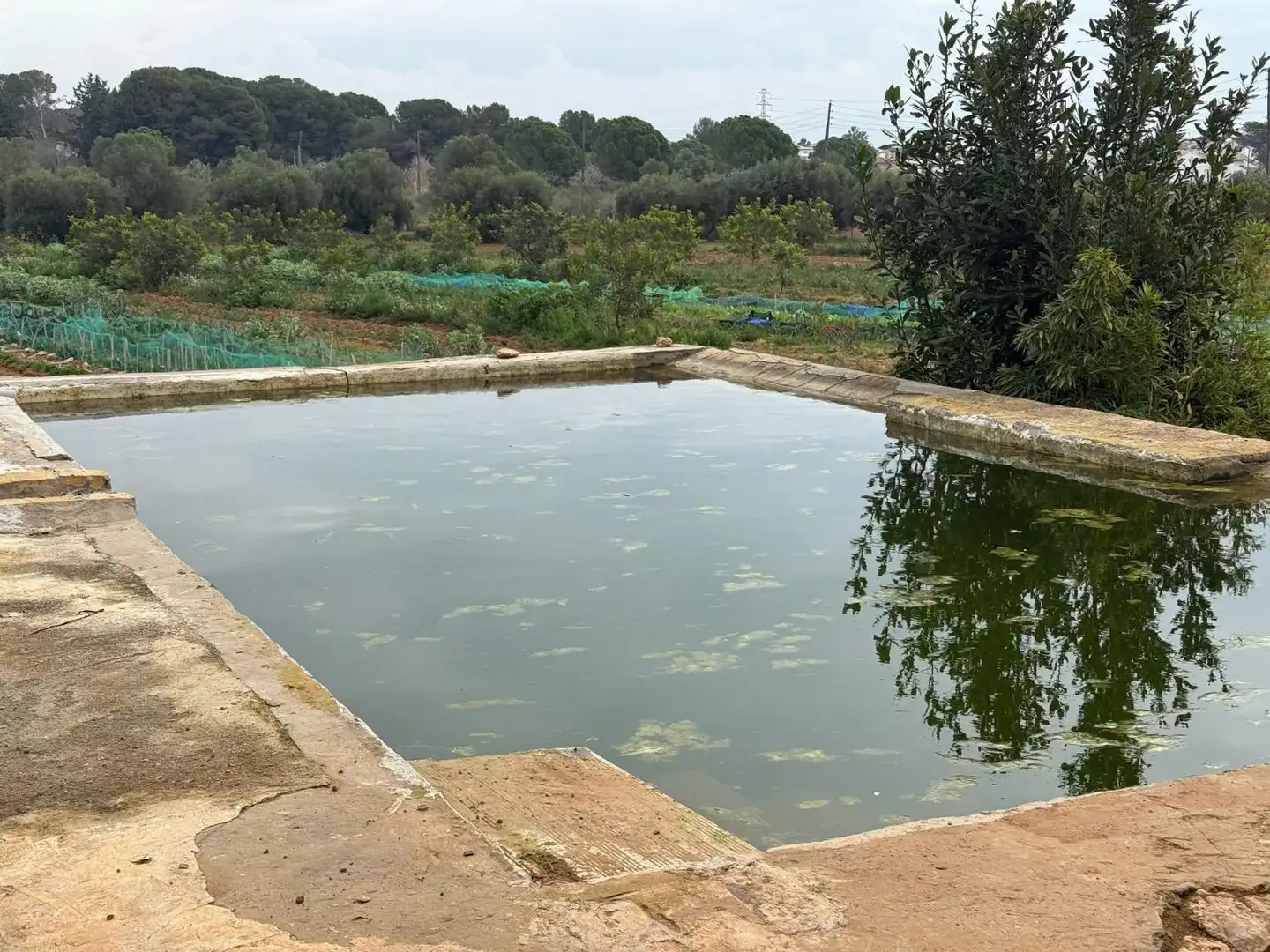 Finca rústica en venda a Altafulla