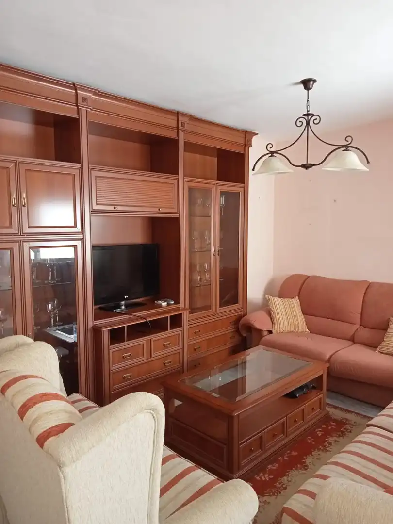 Sala de estar de Ático de alquiler en Málaga Capital con Amueblado, Balcón y Piscina comunitaria