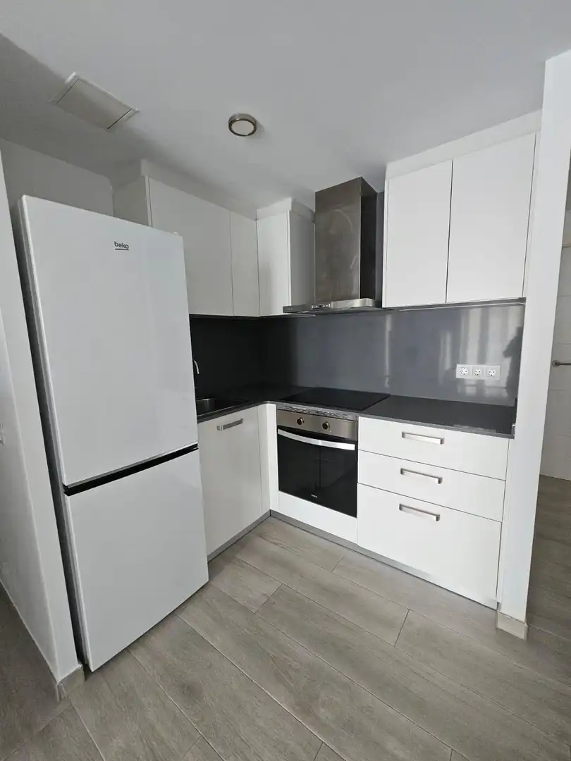 Küche von Wohnungen zum Verkauf in L'Ametlla de Mar  mit Terrasse, Möbliert und Balkon