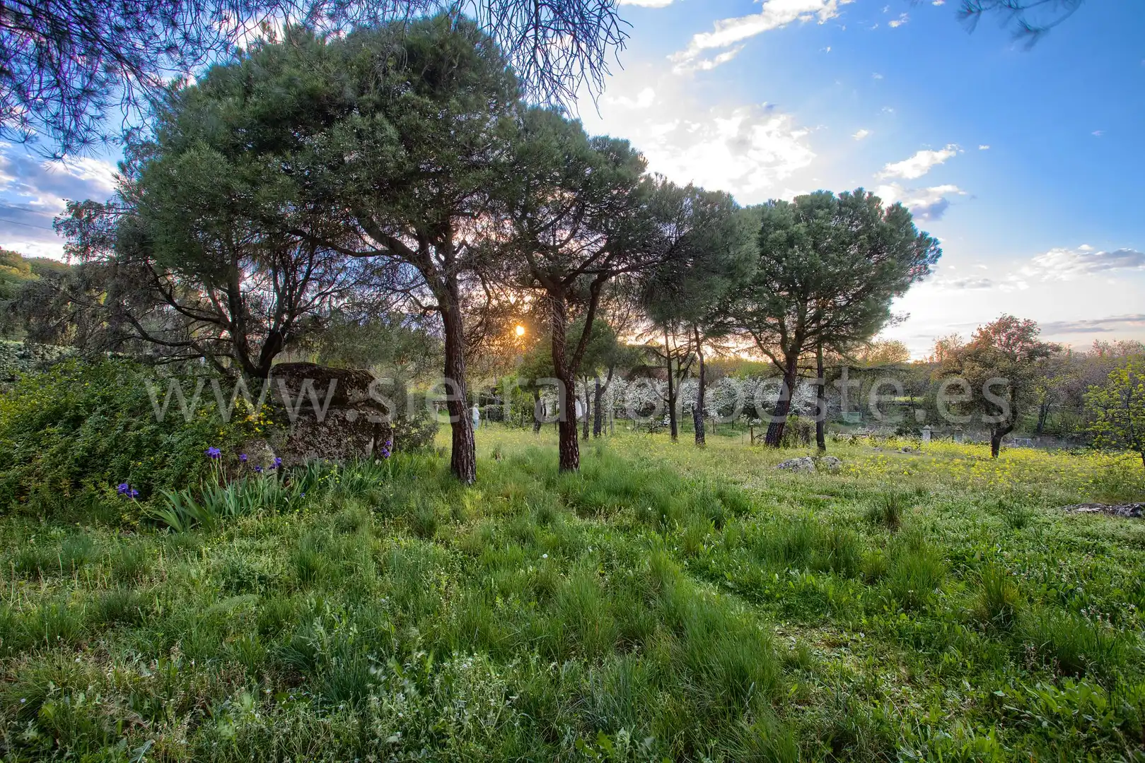 Casa o chalet en venta en Puerto de Galapagar - Las Cuestas