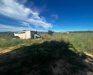 Terreny de lloguer a Vilabella