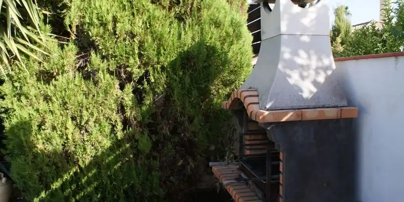 Jardín de Casa o chalet en venta en La Carlota con Jardín privado, Terraza y Trastero