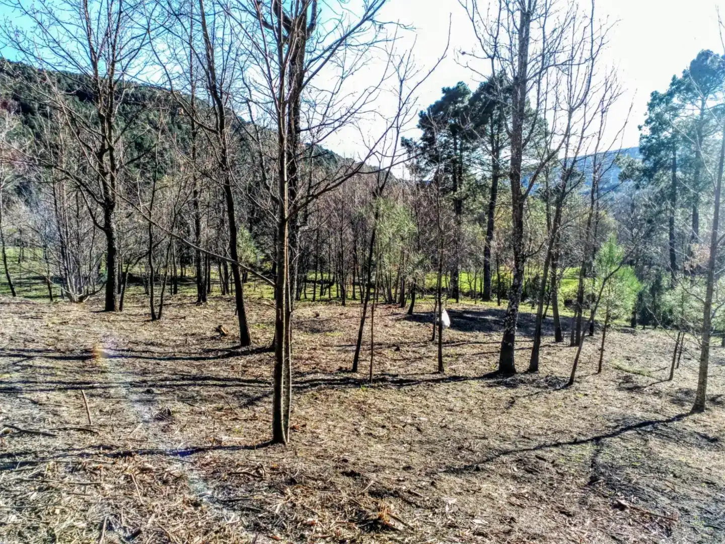Finca rústica en venda en Arenas de San Pedro