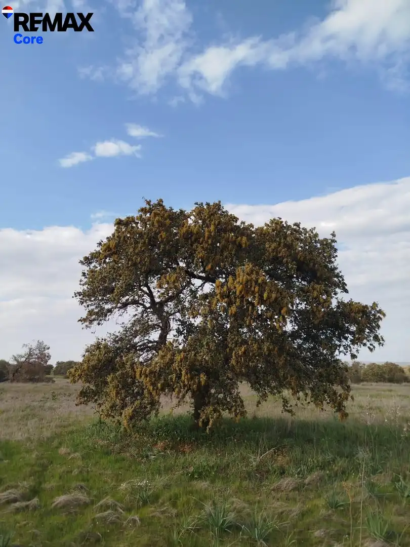 Garden of Land for sale in La Roca de la Sierra 