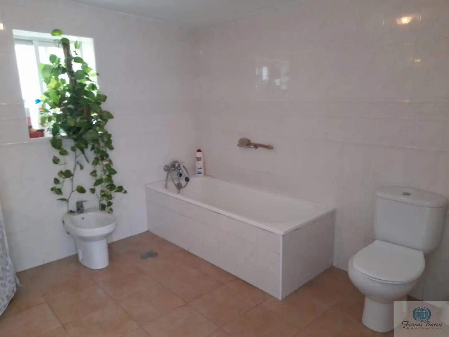 Bany de Finca rústica en venda en Mijas