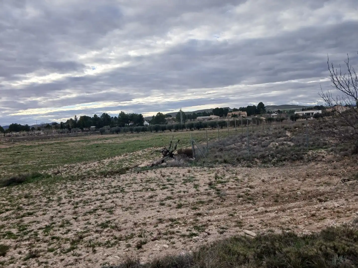 Residential land for sale in Yecla, imagen 4
