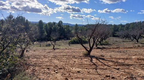 Foto 4 de Terreno en venta en N/a, -1, Lledó, Teruel