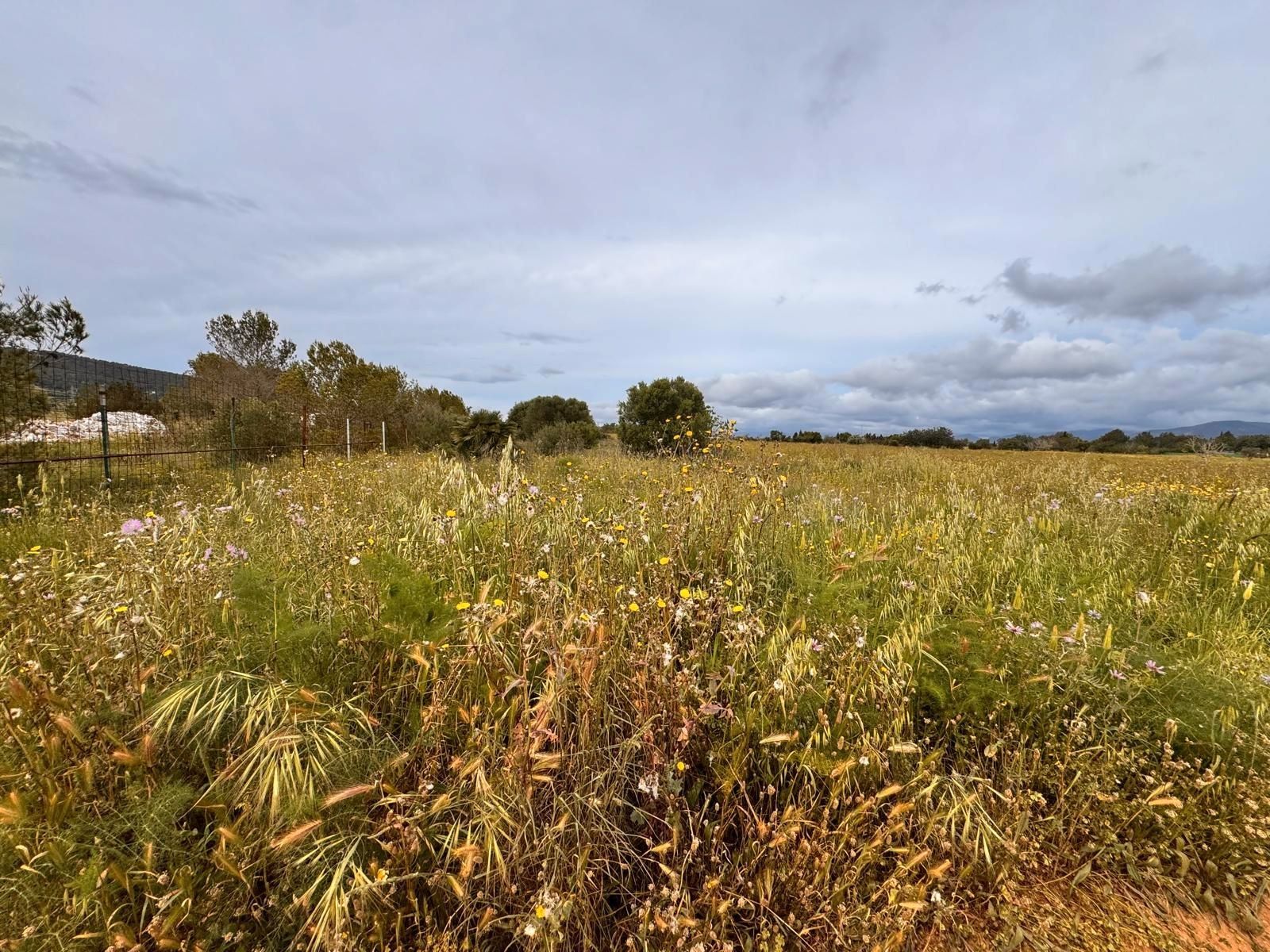 Land for sale in Santa Eugènia
