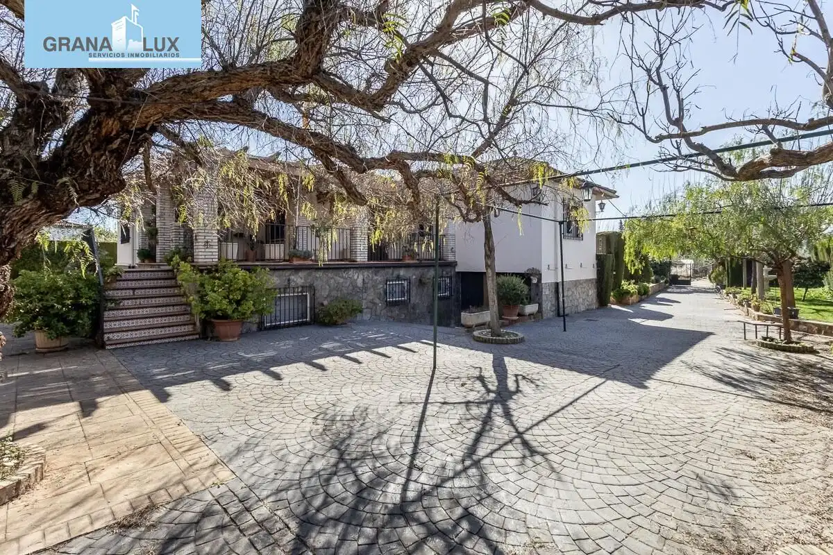 Chalet con piscina en venta en Calle Olmo, imagen 39