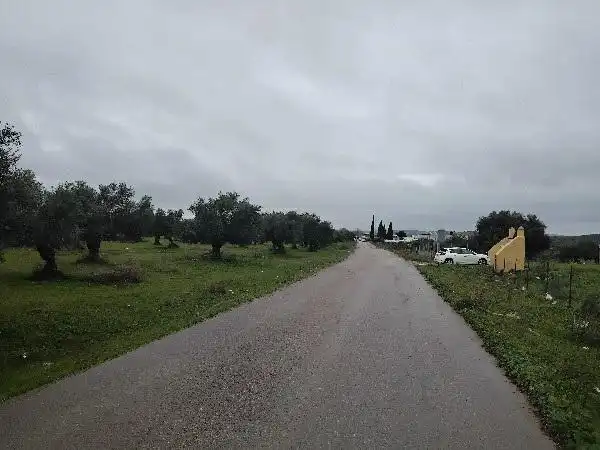 Rustikales Grundstück zum Verkauf in Puerto Serrano, imagen 11