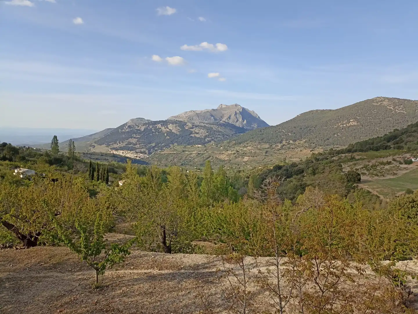 Land for sale in Torres