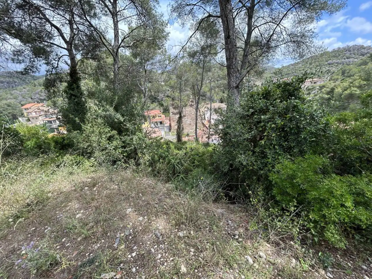 Terrain rustique à vendre à Calle SALVADOR DALI 53, imagen 5