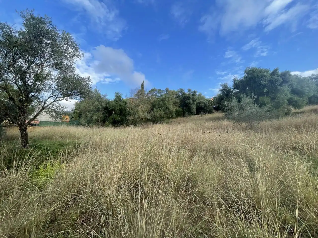 Terreny residencial en venda a Calle olivet del veinat, imagen 3
