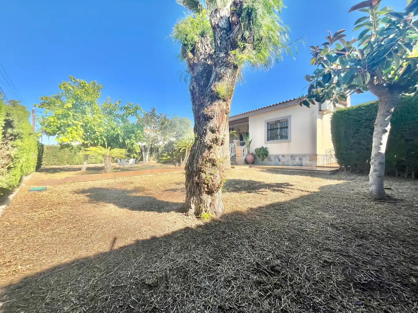 Vista exterior de Casa o xalet en venda en Torrevieja amb Aire condicionat, Calefacció i Jardí privat