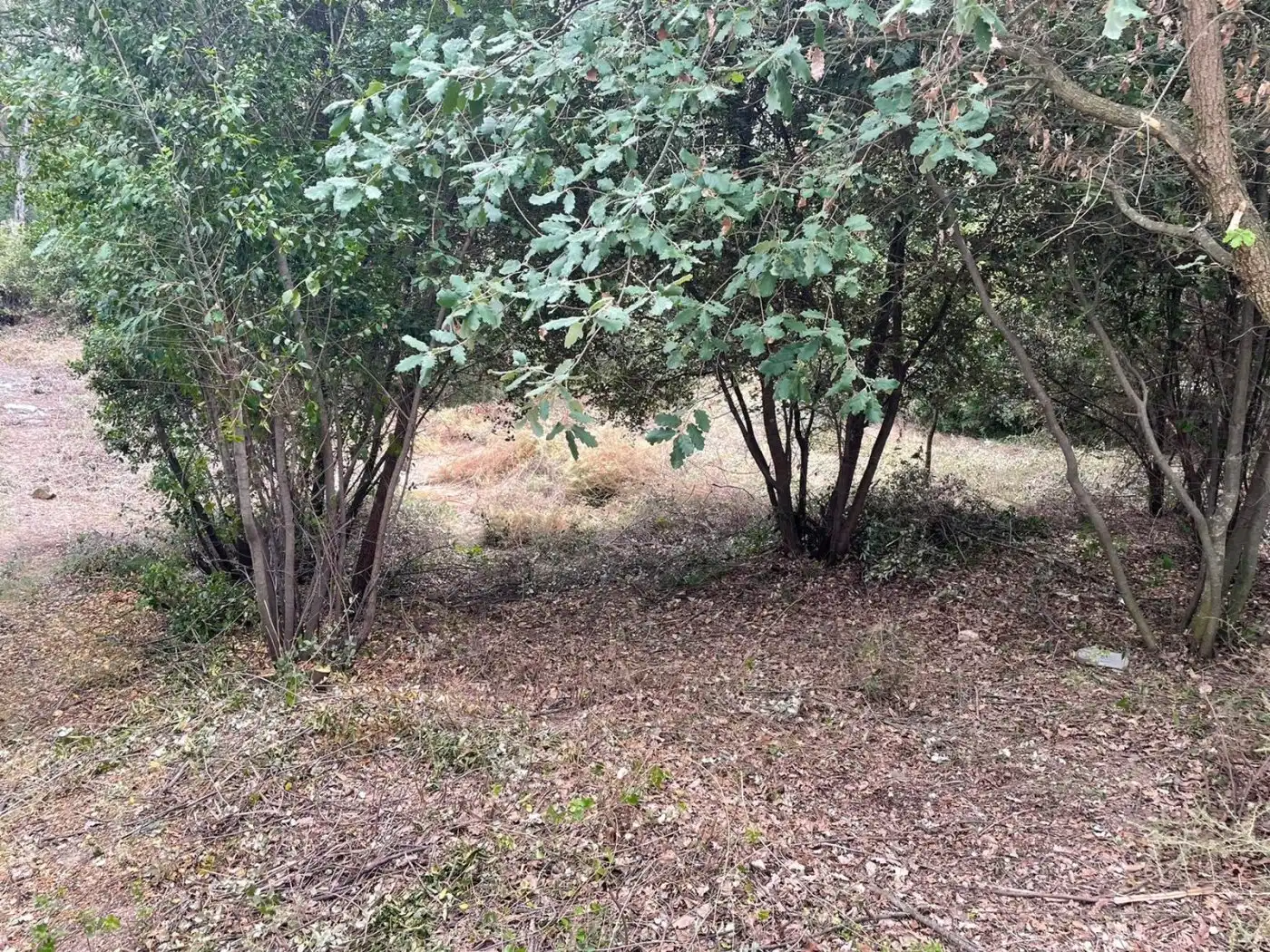 Lands and plots for sale in Caldes de Montbui, imagen 12
