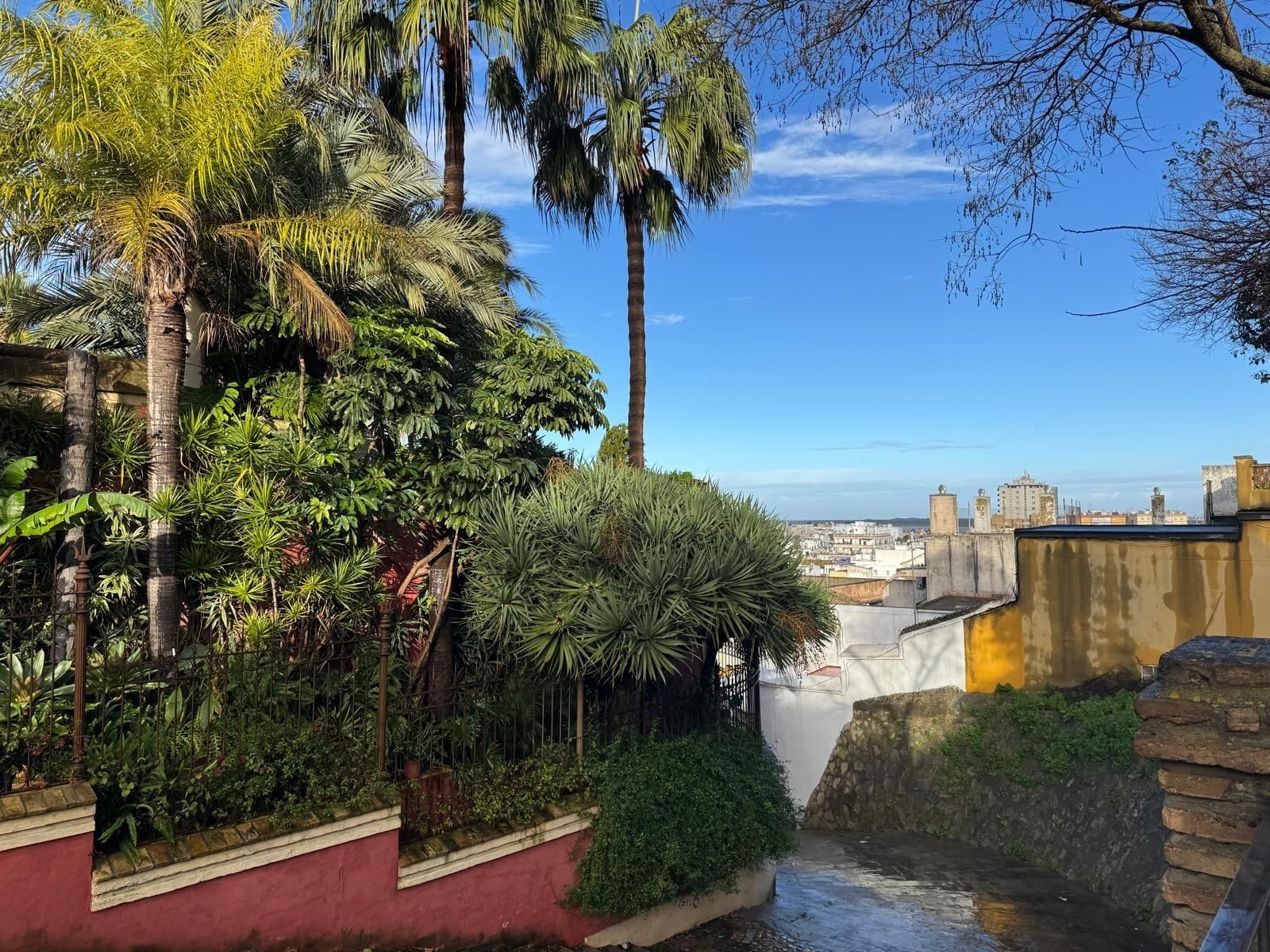 Exterior view of House or chalet for sale in Sanlúcar de Barrameda