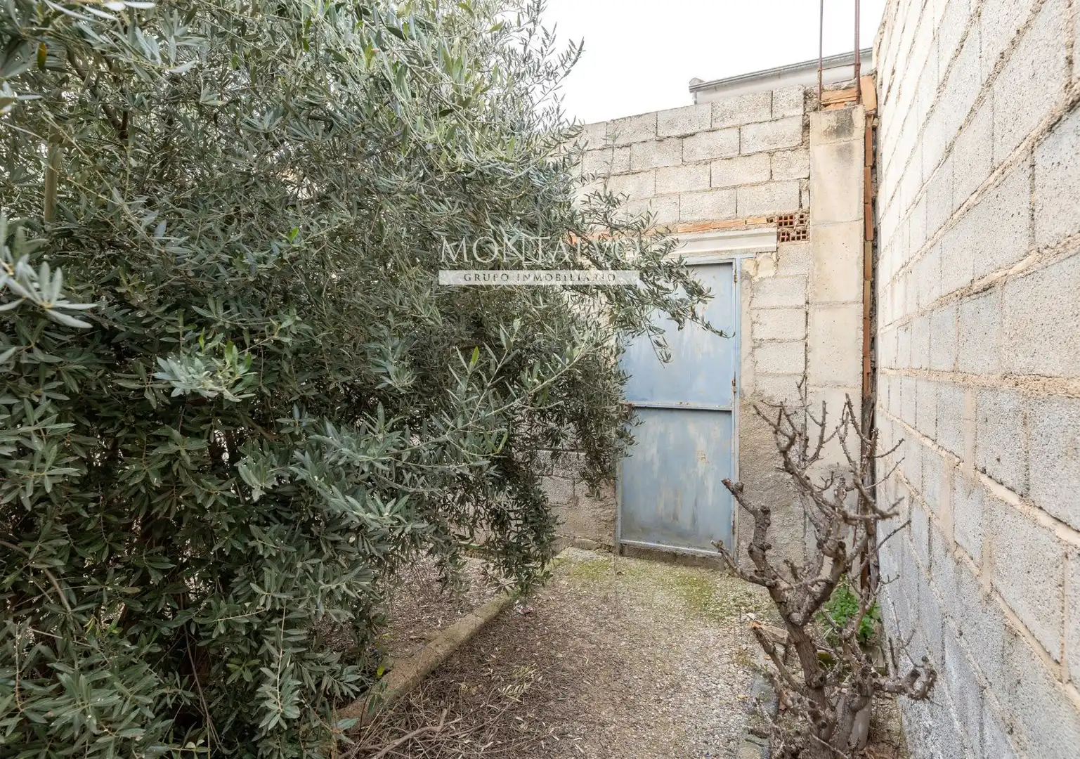 Garden of Land for sale in Fuente Vaqueros