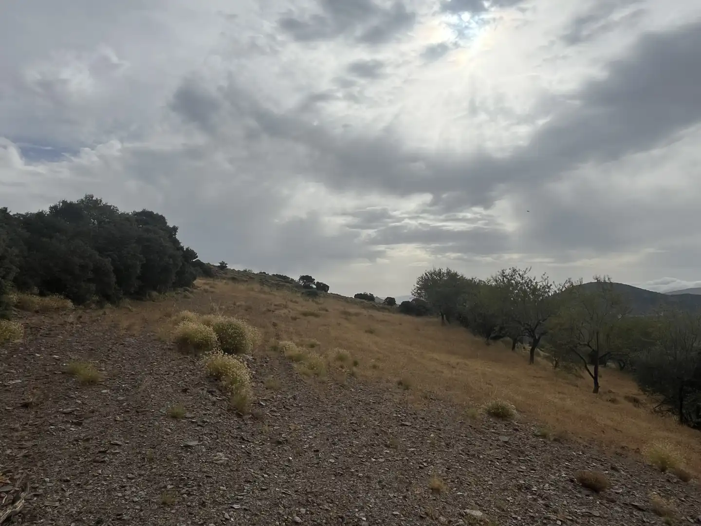 Terreno en venta en La Taha