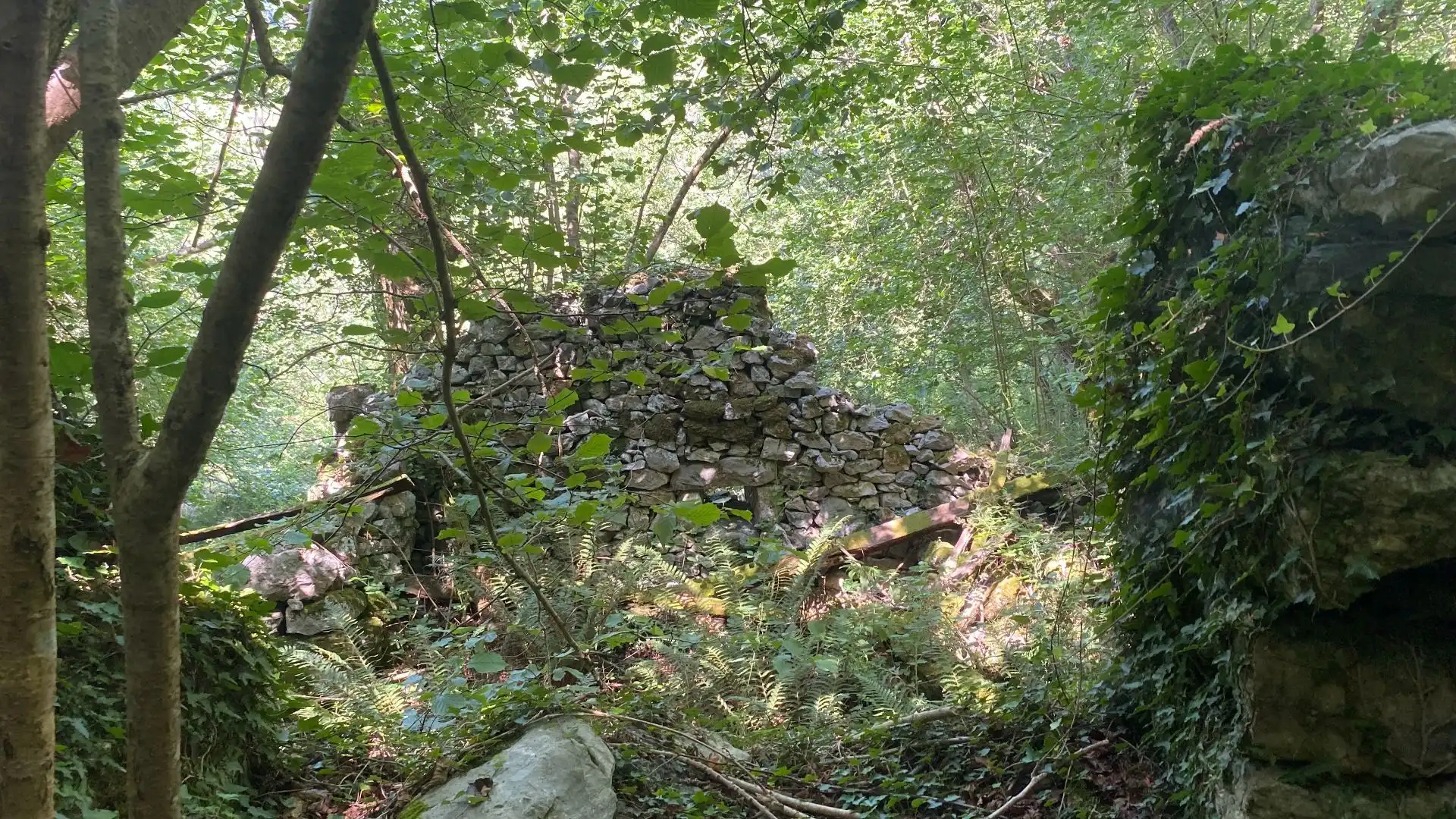 Terreno rustico in vendita a SEGÜENCO, imagen 34