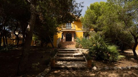 Photo 5 of Houses for sale in Rojales, Alicante