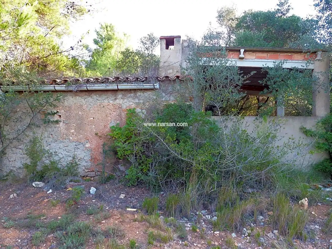 Terrain rustique à vendre à La Pobla de Tornesa, imagen 5