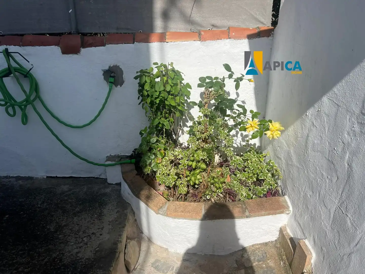 Jardí de Casa o xalet en venda en Vejer de la Frontera amb Aire condicionat, Calefacció i Terrassa