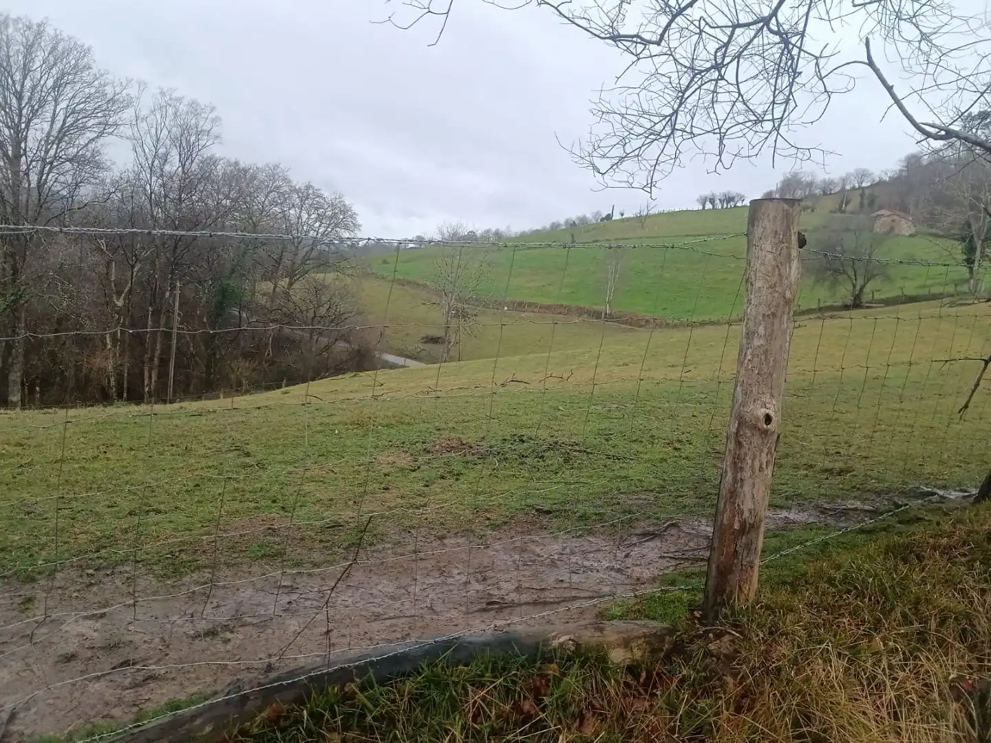 Grundstücke zum Verkauf in Nava