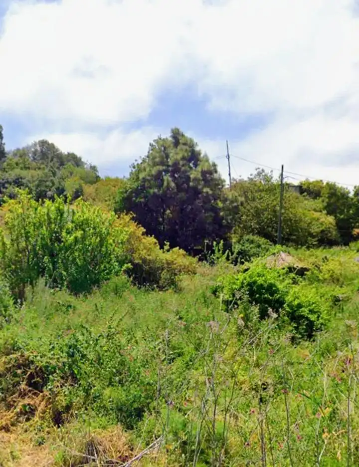 Rural land for sale in La Vega - El Amparo - Cueva del Viento, imagen 9