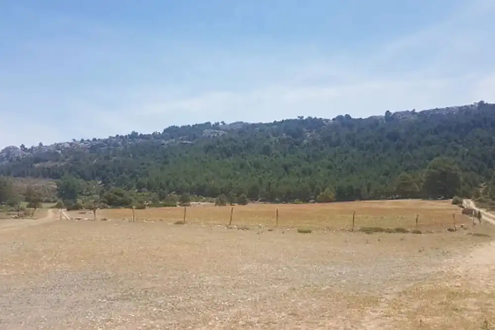 Terreno rústico en venta en Carretera Caravaca, imagen 3