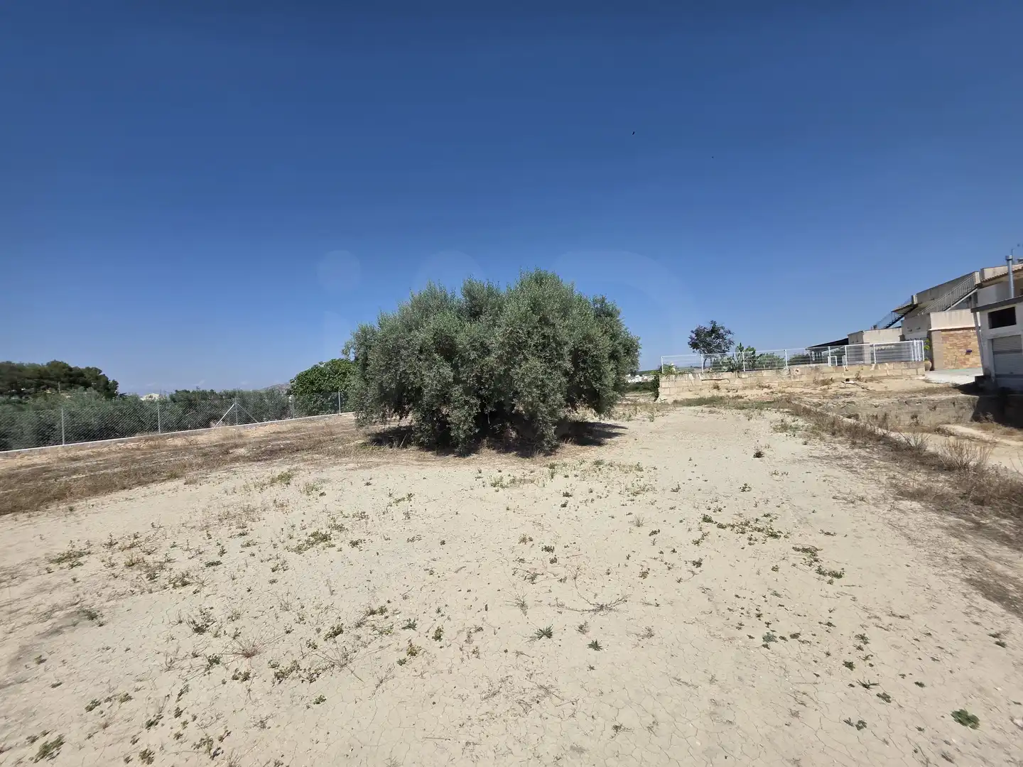 Terrenys i solars en venda a Cehegín, imagen 16
