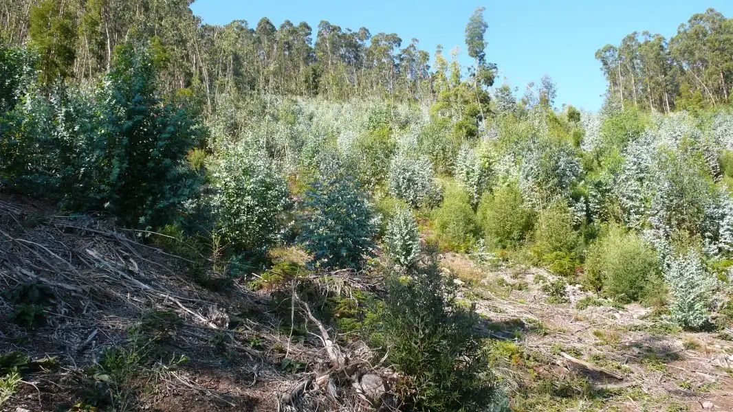 Terreni e lotti in vendita a Ramorta de Arriba, imagen 11