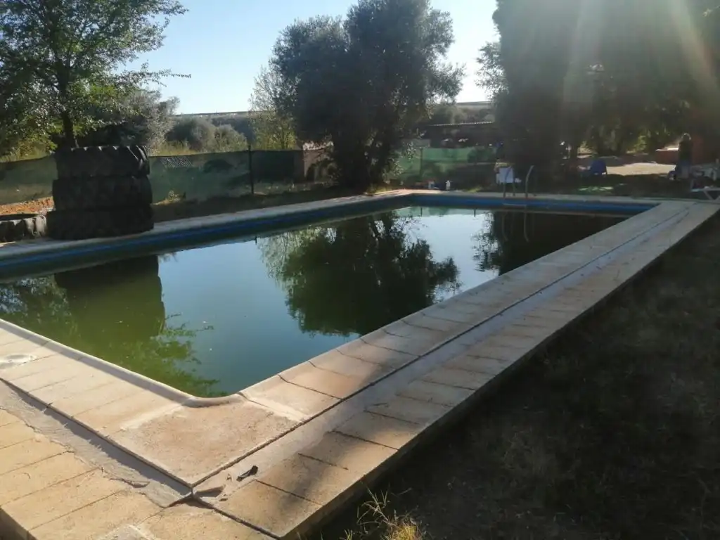 Casa rústica amb piscina en venda a Argamasilla de Calatrava, imagen 4