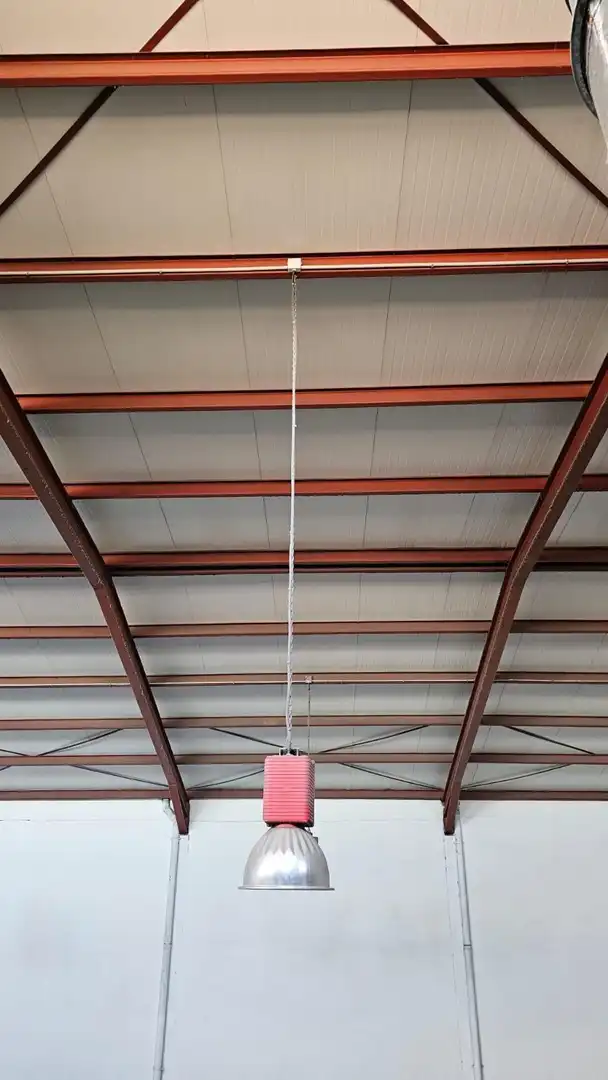Industrial building to rent in Torrellano, imagen 9