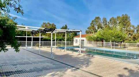 Foto 4 de Casa o xalet en venda a Campo Alto - Club de Campo, Elda