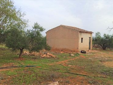 Terreno rustico in vendita a poligono 3 parcela 235