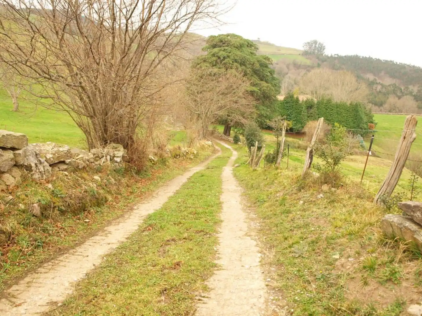 Terreni e lotti in vendita a Presillas Las - Barrio Santa María del Monte, imagen 3