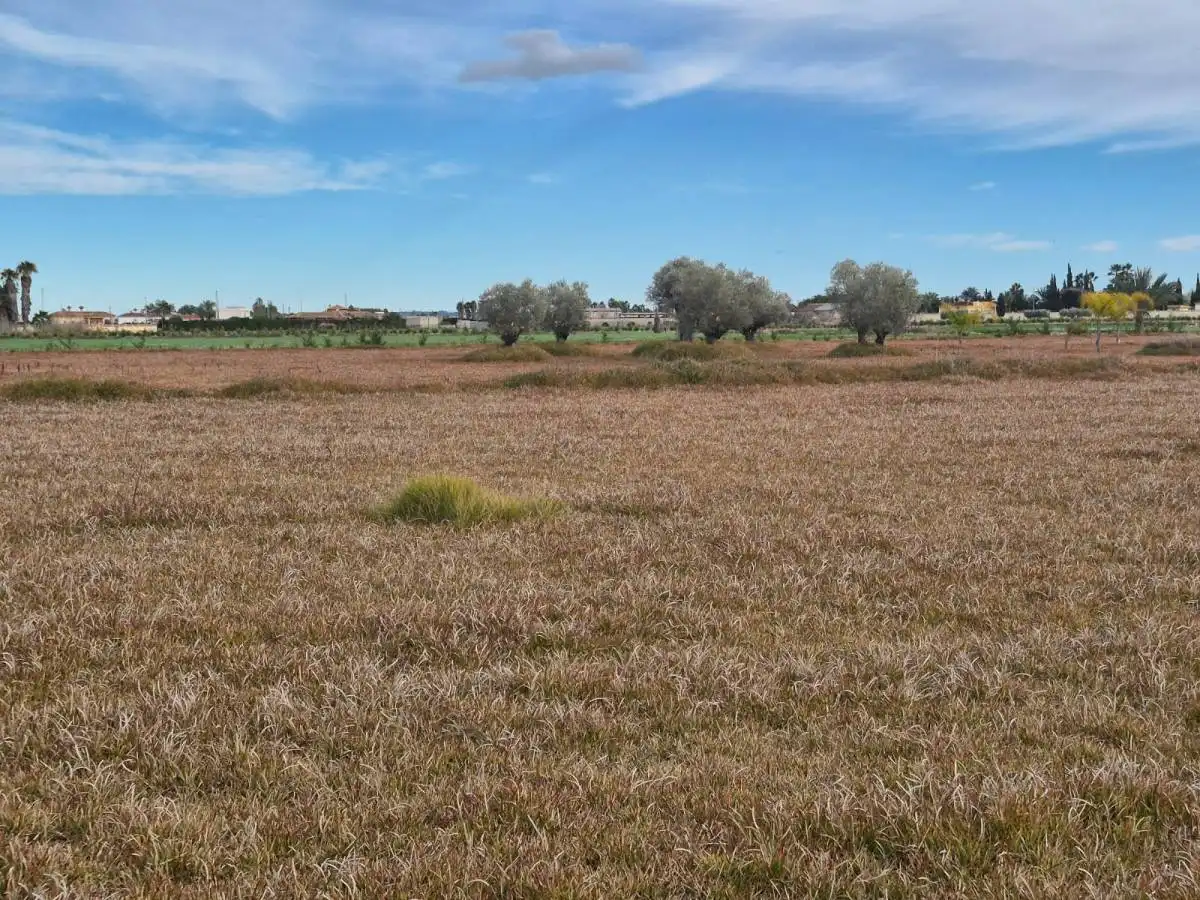 Terreni e lotti in vendita a Cam. Arroba de Hornos, imagen 17