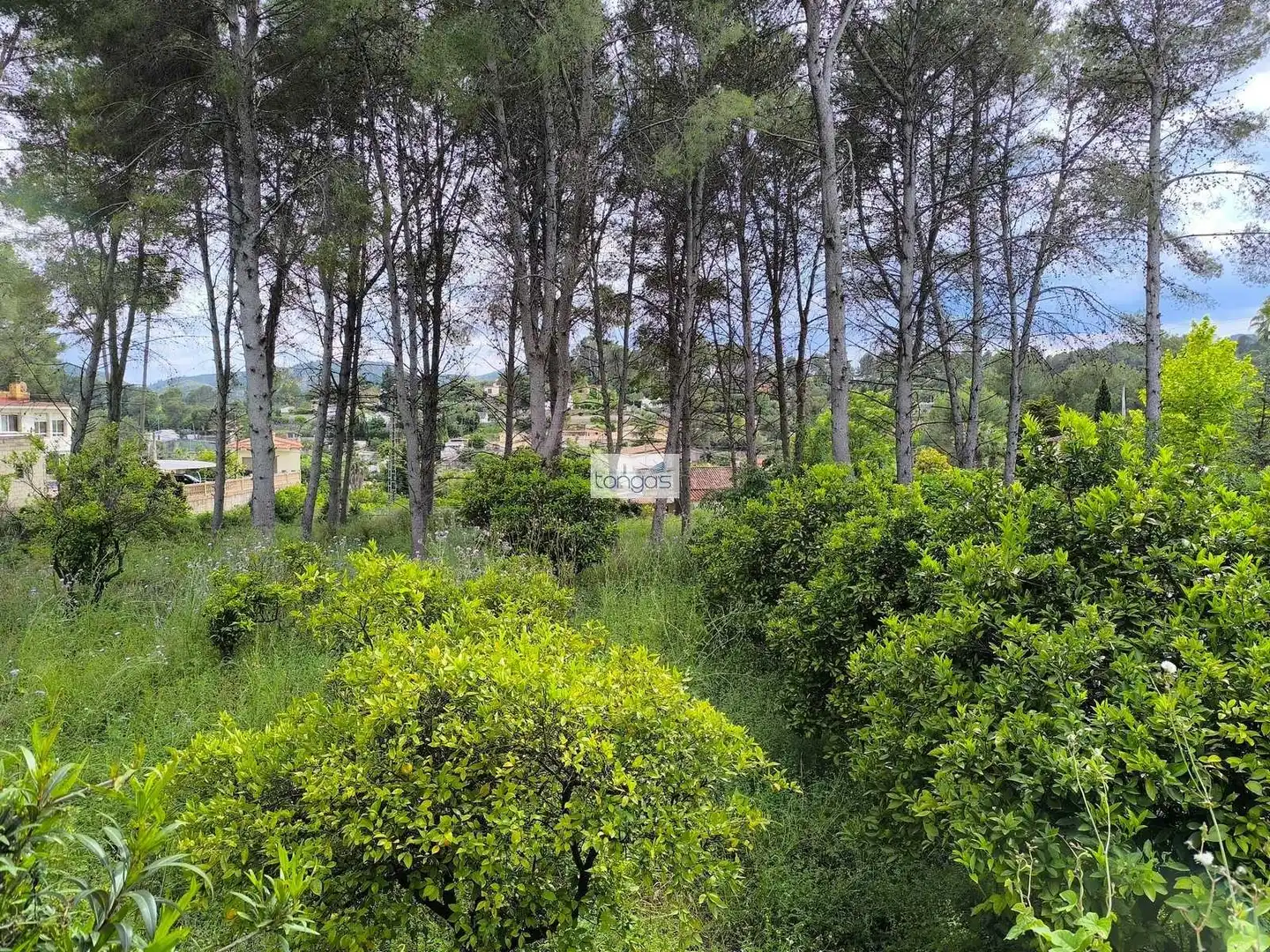 Chalet con piscina en venta en Xàtiva, imagen 10