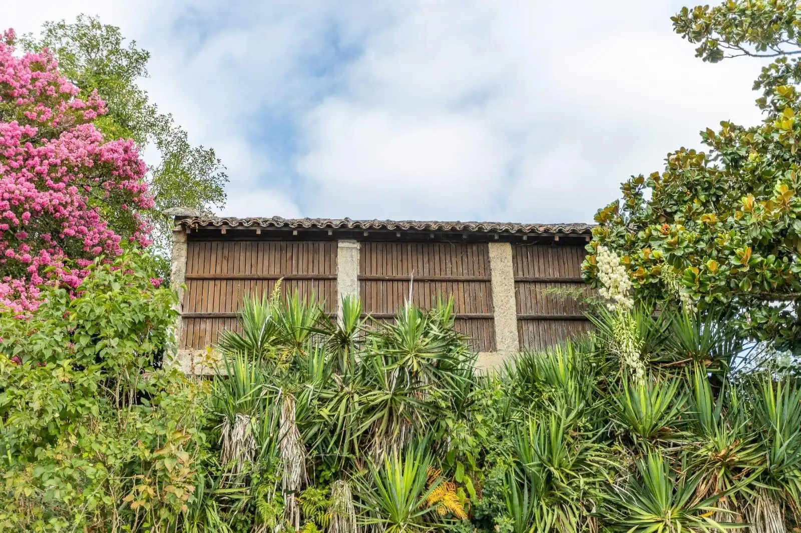 Chalet en venta en Vedra, imagen 57