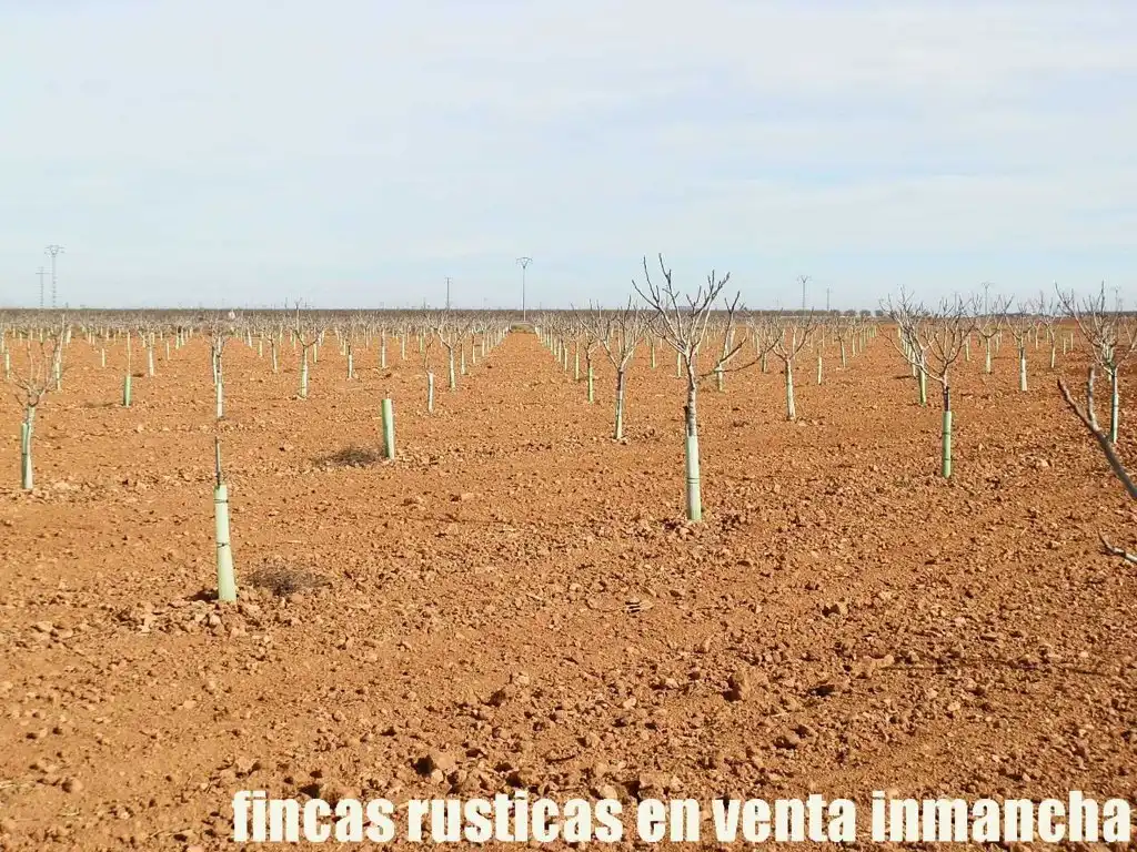 Terreno en venta en Albacete