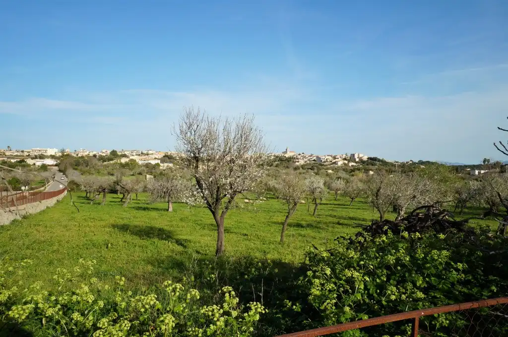 Casa rustica con giardino in vendita a Campanet, imagen 13
