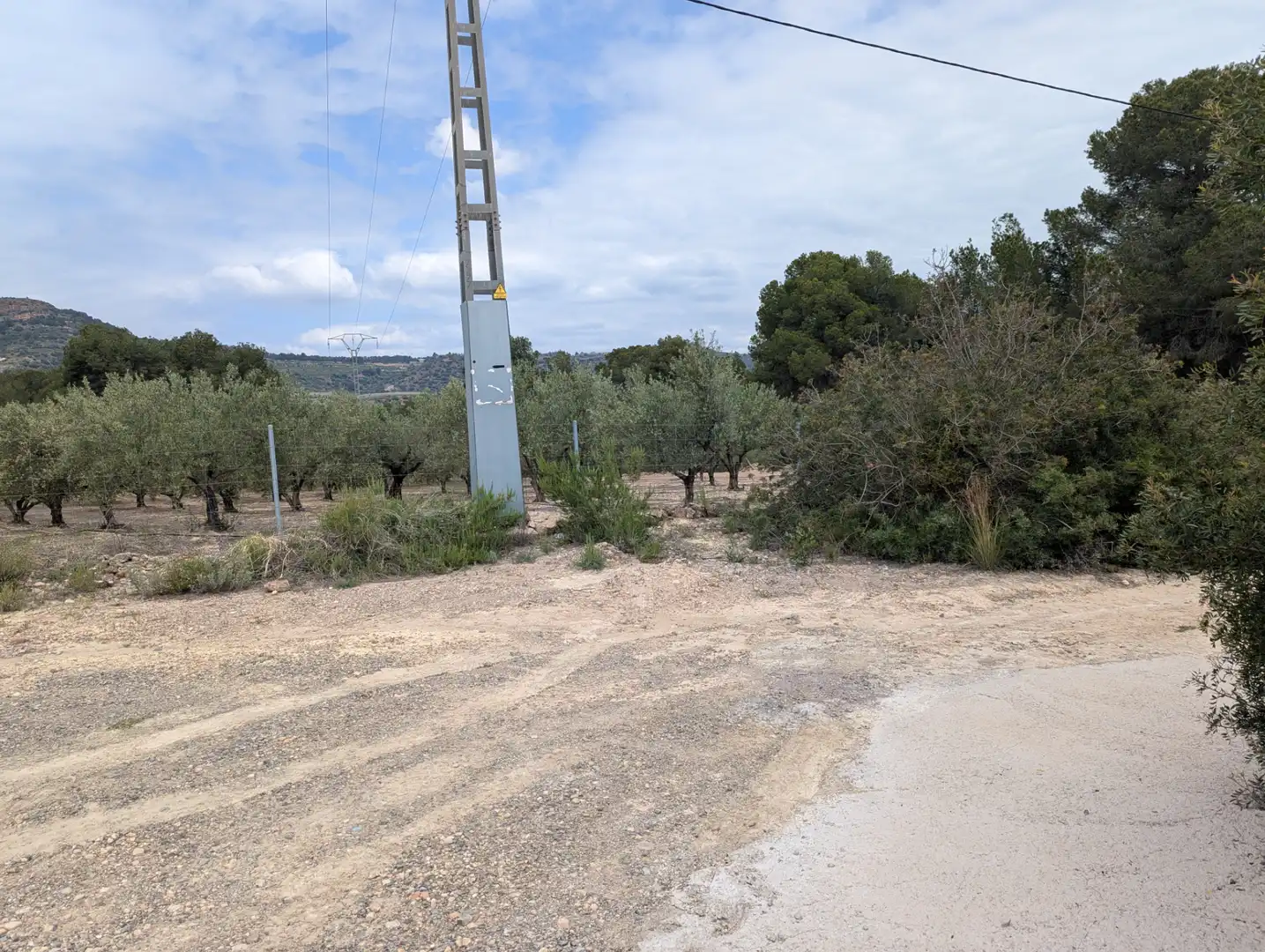Terreno rustico in vendita a Camino 2 39