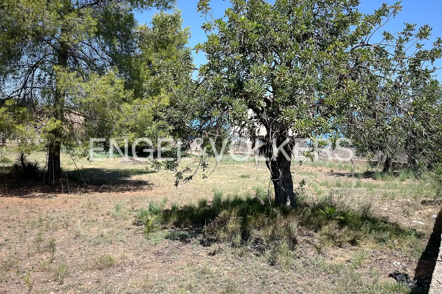 Lands and plots for sale in Montealegre, imagen 6