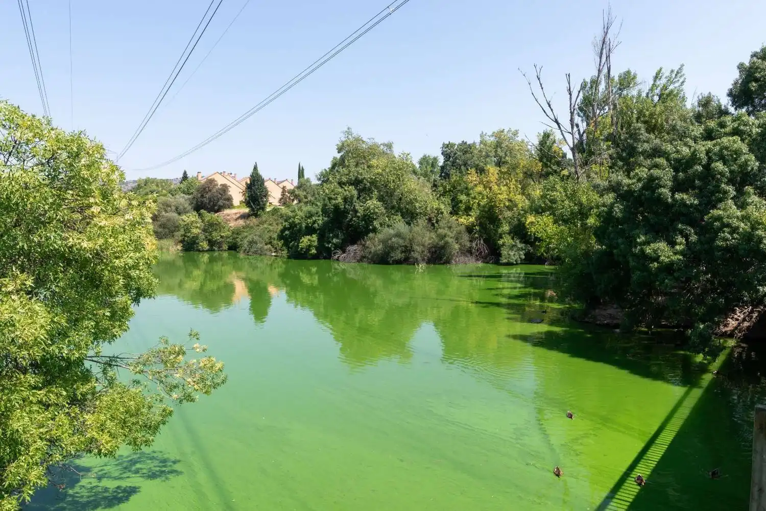 Chalet con piscina en venta en Molino de la Hoz, imagen 57