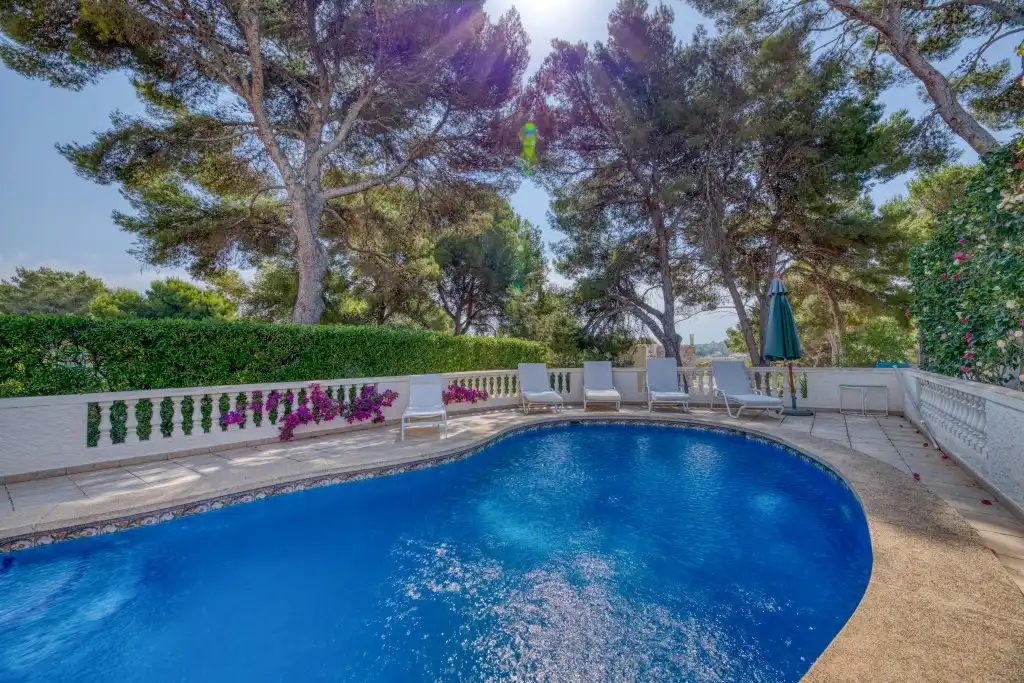 Swimming pool of Houses for sale in Calvià  with Terrace, Swimming Pool and Sauna