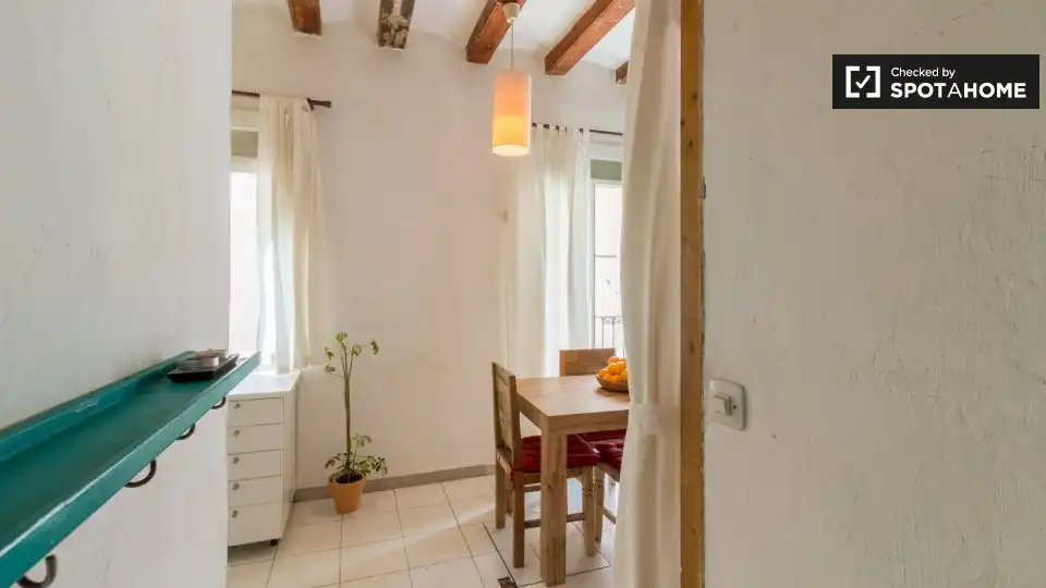 Piso con terraza en alquiler en Ciutat Vella, imagen 17
