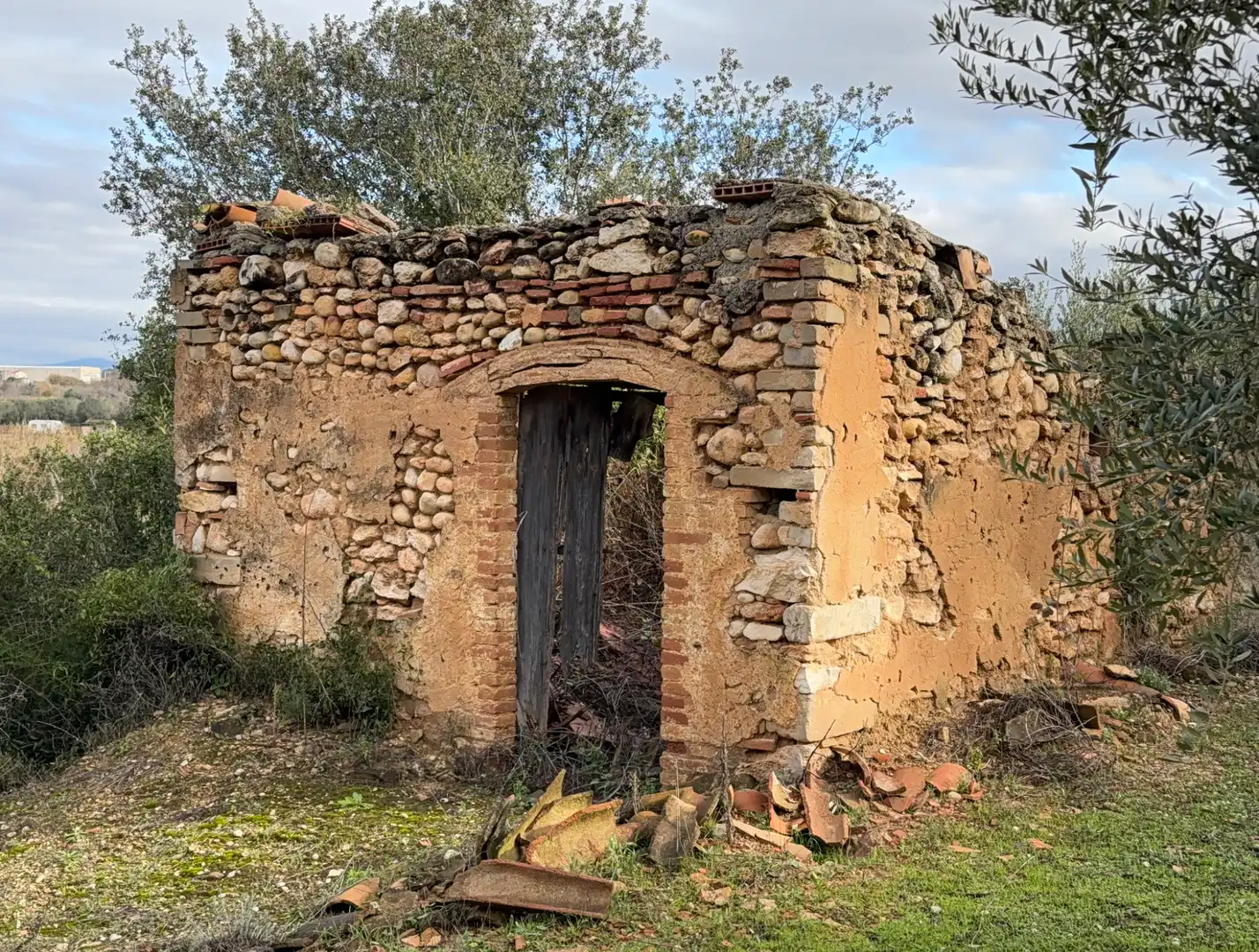 Terrain rustique à vendre à Camí de Vallmoll a Valls 17, imagen 10