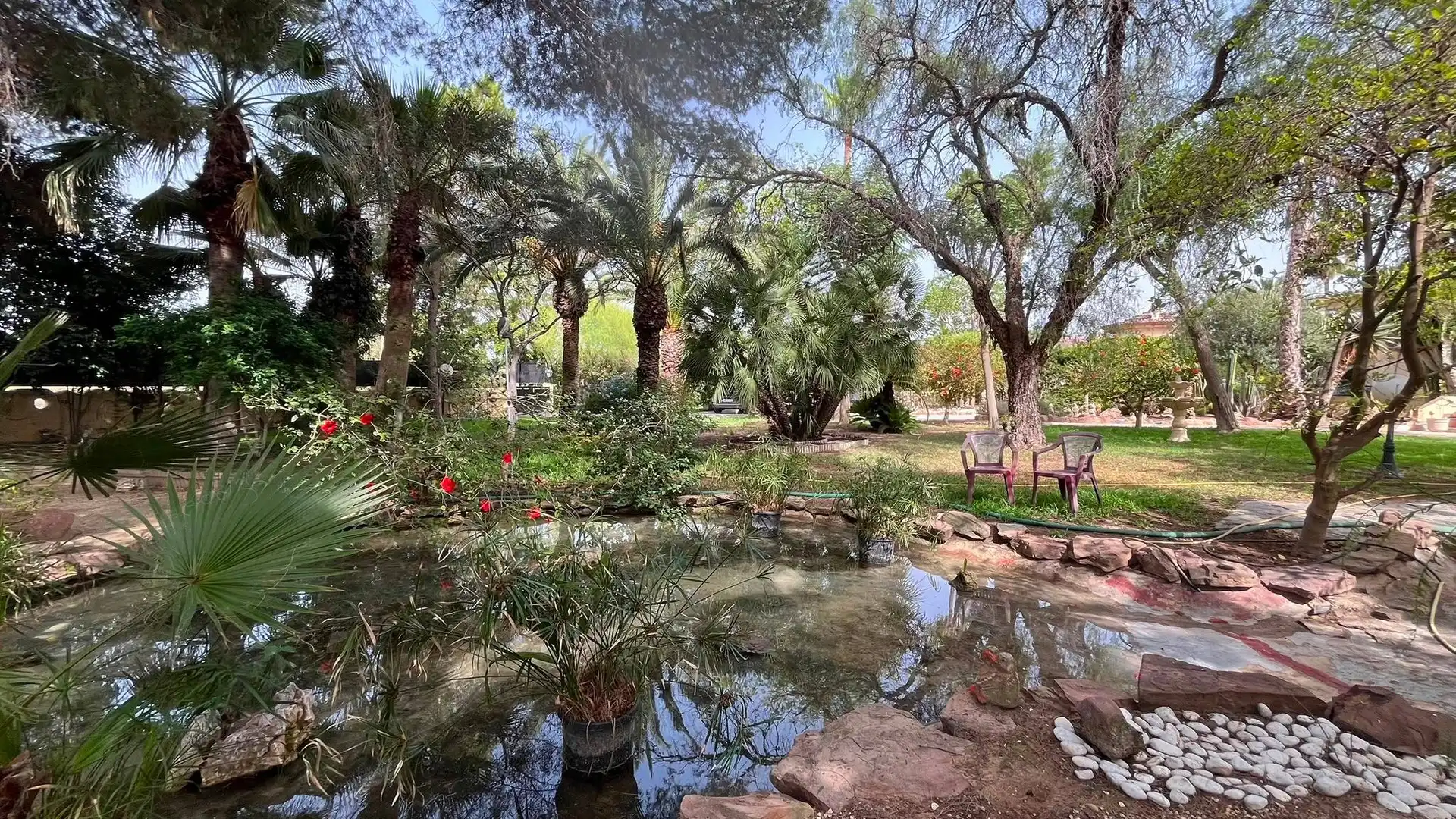 Jardín de Casa o chalet en venta en Elche / Elx con Aire acondicionado, Calefacción y Jardín privado