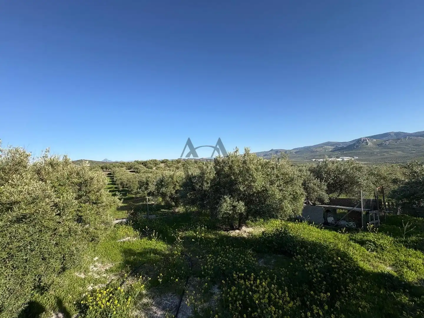 House for sale in Baena, imagen 24