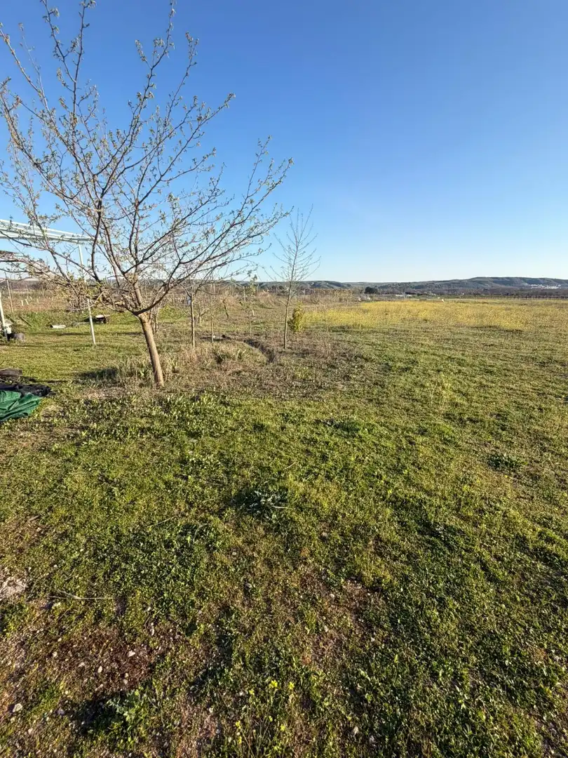 Land for sale in Aranjuez